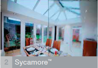 Sycamore