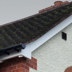 Roofline-Hero-495x400