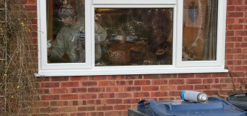 [Case Study) - White Elegance Window