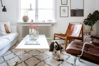 How to soundproof your home