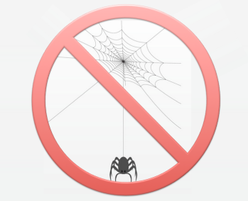 How to spider-proof your home